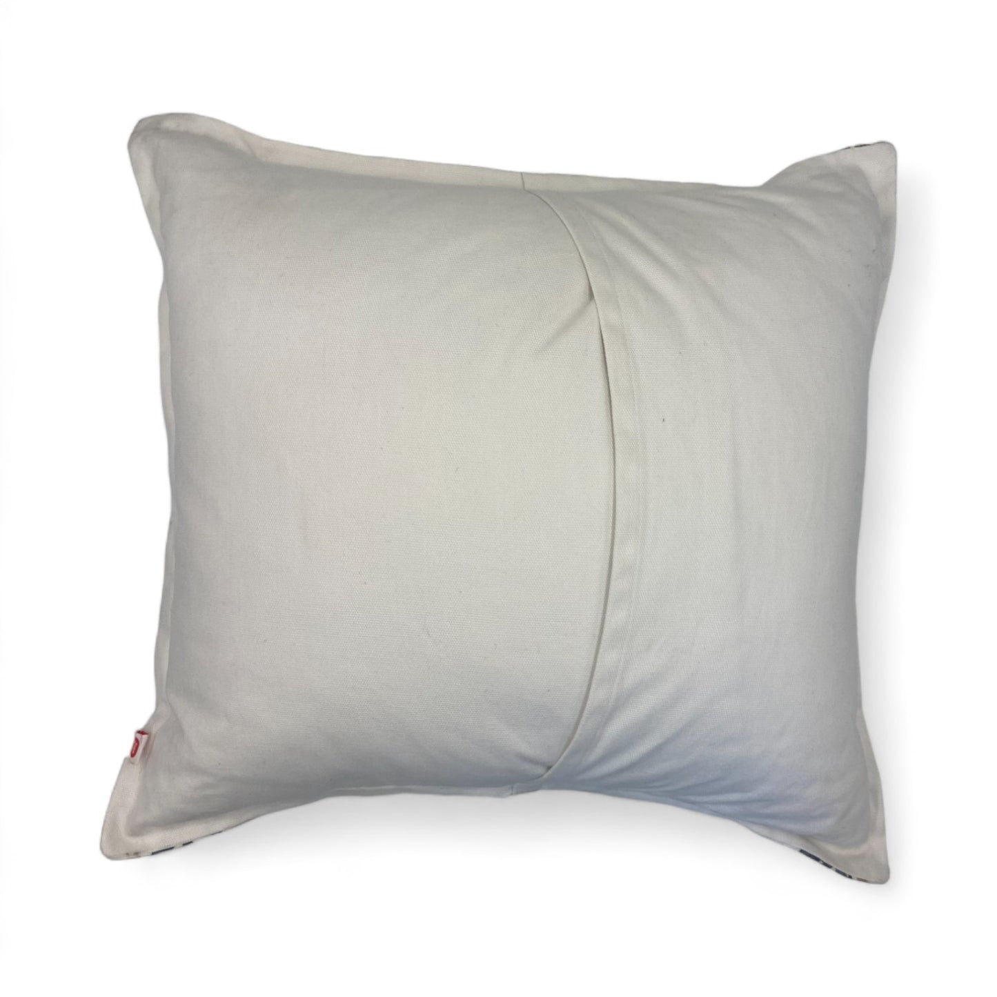 Epine Cushion