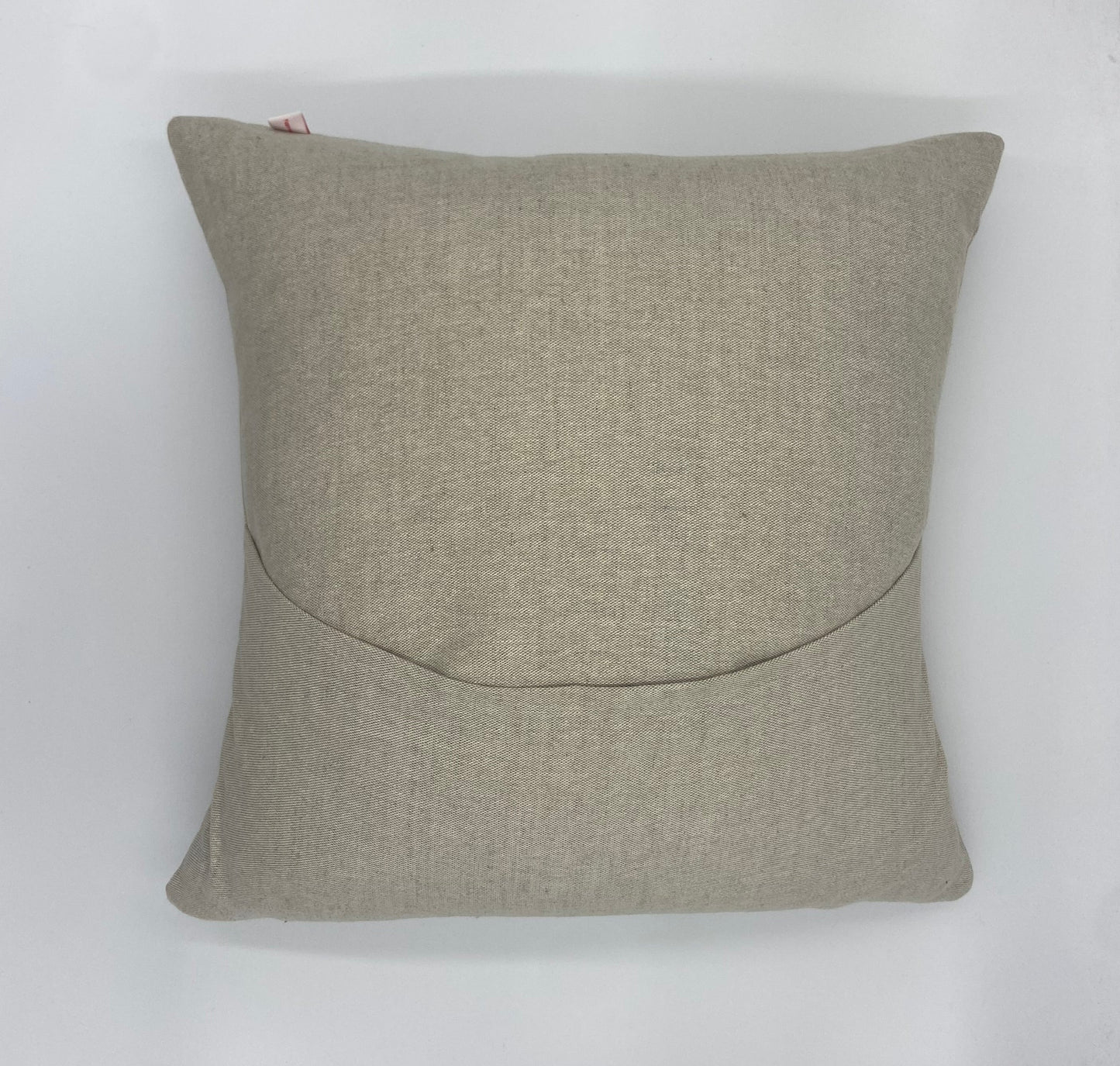 Parrot Border Cushion