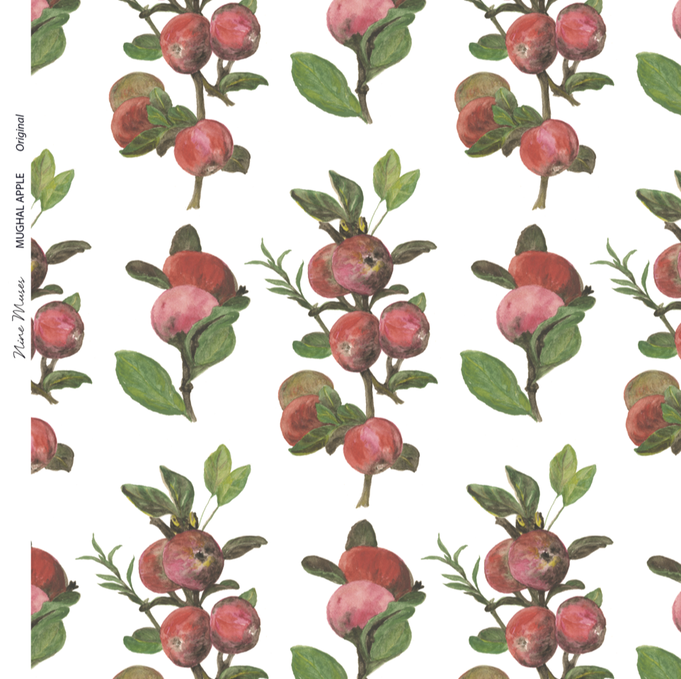 Mughal Apple SP