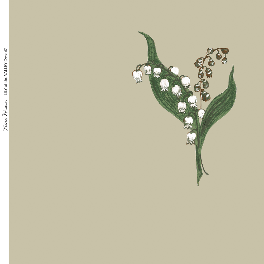 Lily of the Valley