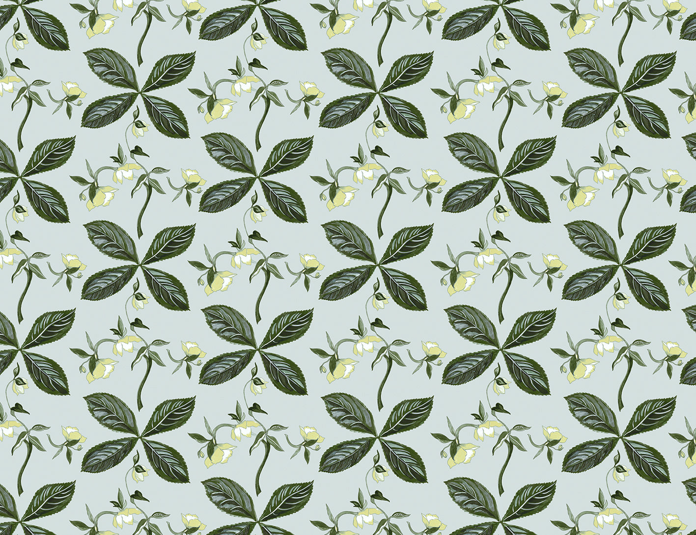 Helebore Light Aqua Remnant