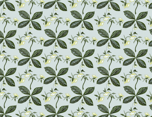 Helebore Light Aqua Remnant