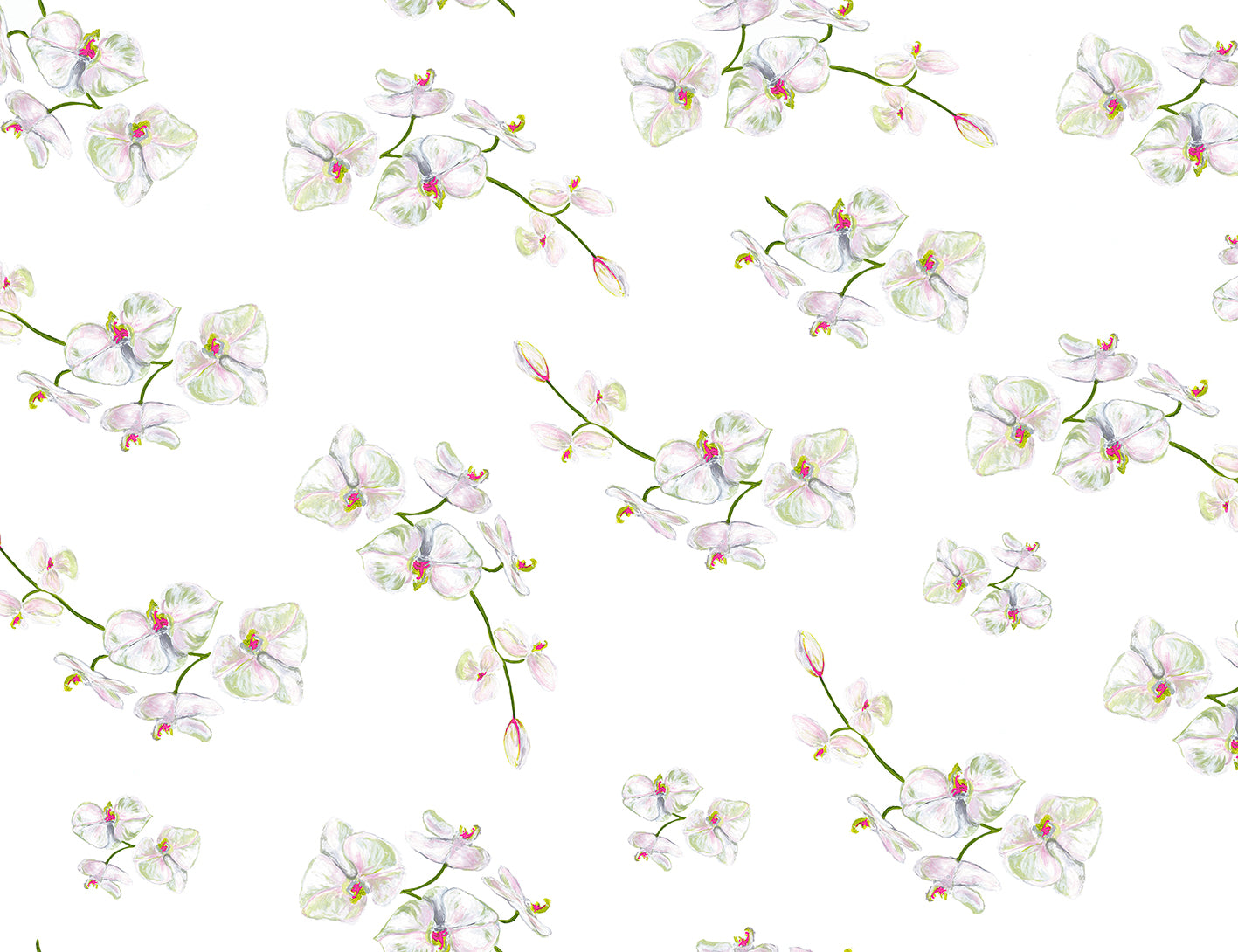 Orchid White Remnant