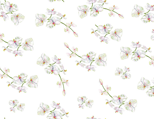 Orchid White Remnant