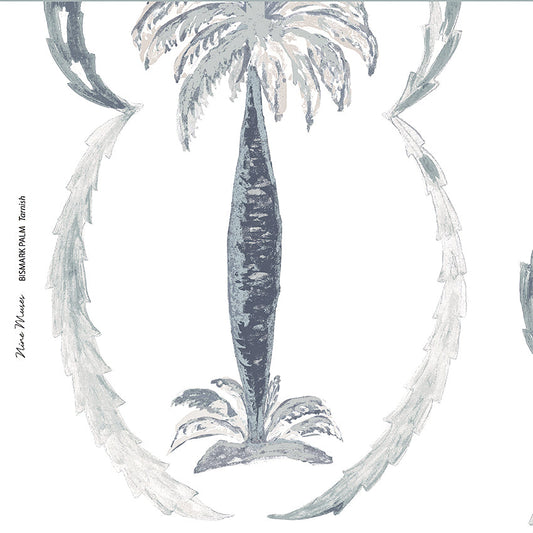 Bismarck Palm New