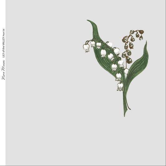 Lily of the Valley